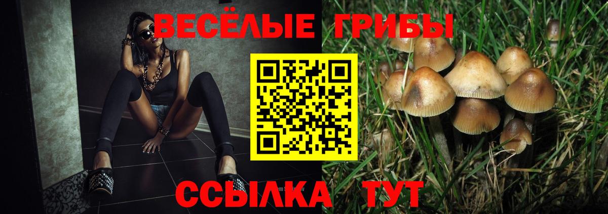 Кинель  Псилоцибиновые грибы Magic Shrooms  Вход с VPN 